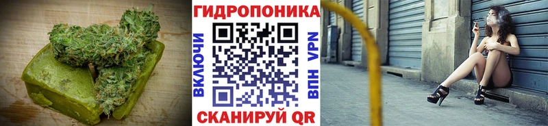 blacksprut онион  Шарья  Еда ТГК конопля 