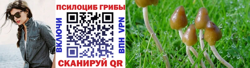 дарк нет наркотические препараты  hydra ONION  Шарья  Галлюциногенные грибы мицелий 